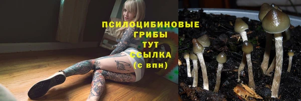прущие грибы Алзамай