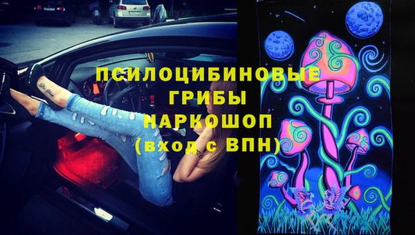 прущие грибы Алзамай