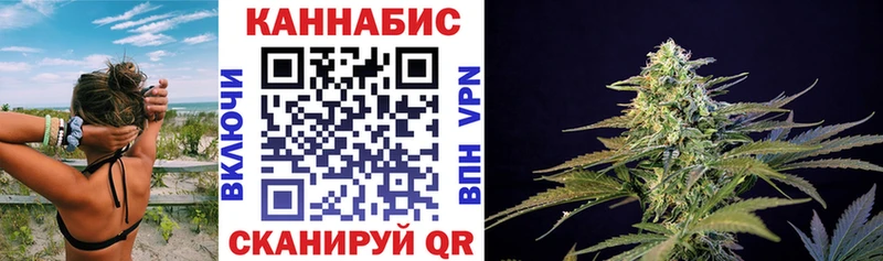 как найти наркотики  Отрадная  Марихуана планчик 